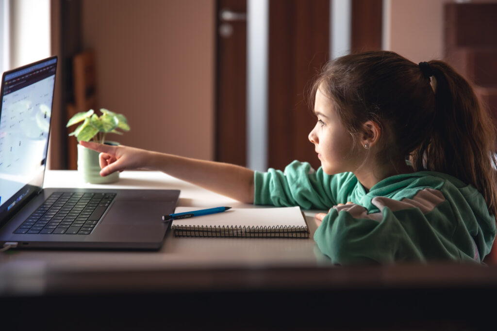 Little girl in front of laptop screen, study concept.